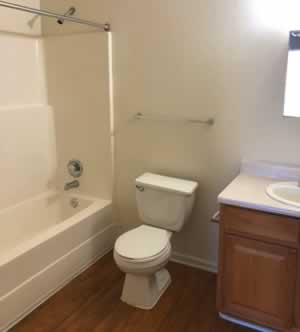 Spring_Tree-z-bathroom-1200w