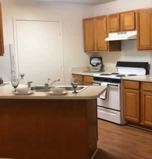 Spring_Tree-z-kitchen-1200w