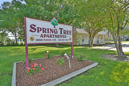 Spring_Tree-a-Sign-1750-1200w
